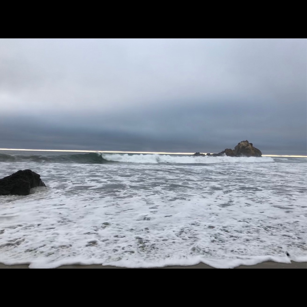 Meet your Posher, Roshni